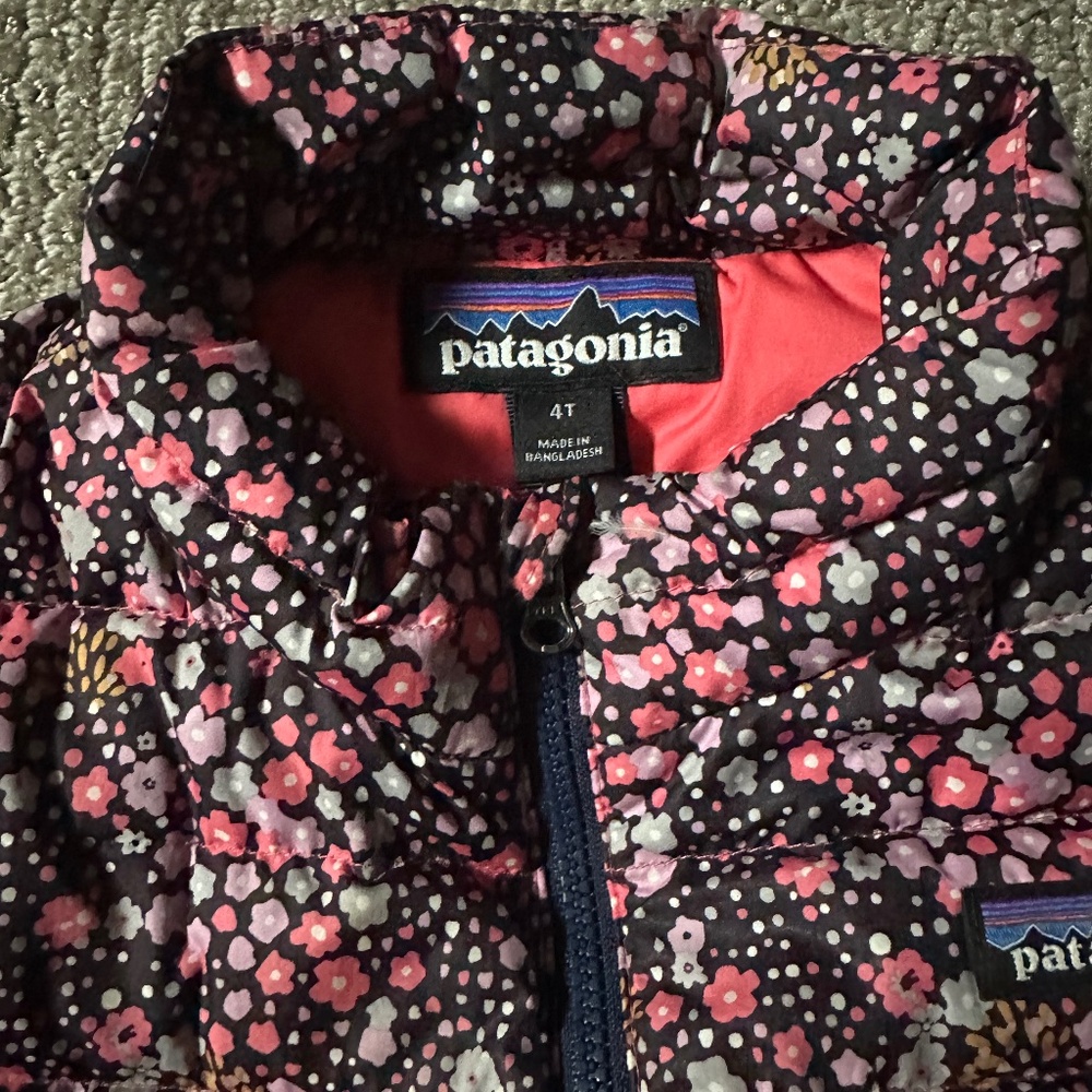 Patagonia down jacket